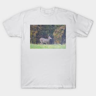 White Tailed Deer T-Shirt